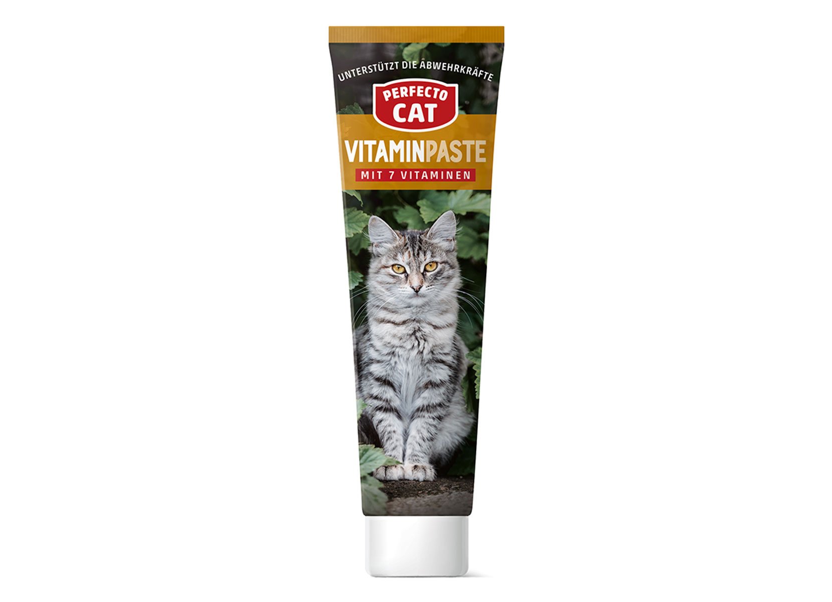Perfecto Cat Vitaminpaste 100g Tube